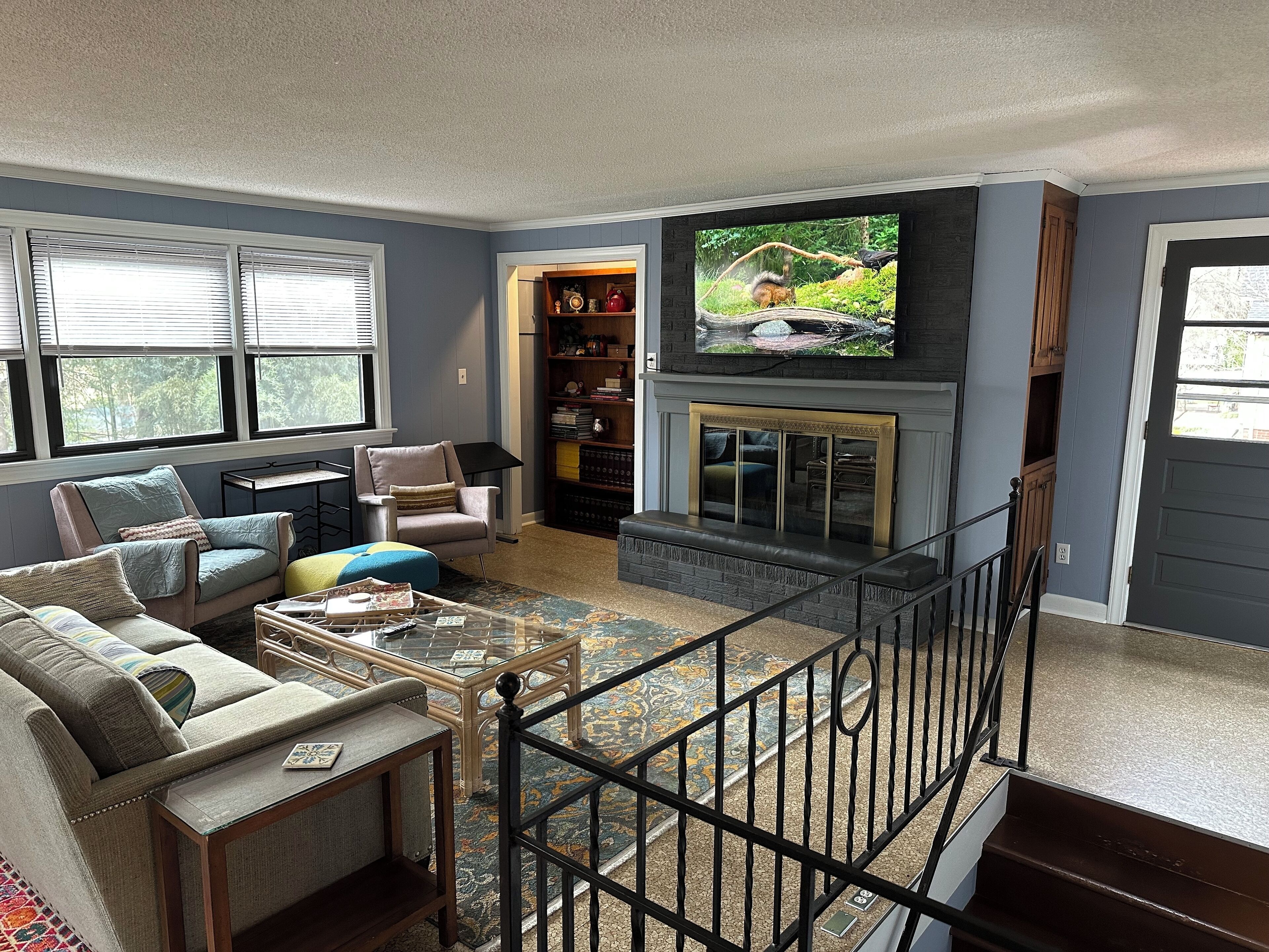 Älytelevisio, kirjoja