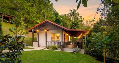 Cabin among Pines: Pool w Heat, Fire Pit and Mini Golf, for couples and families