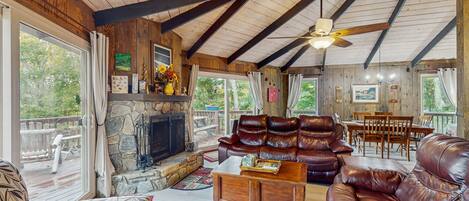 Télévision, cheminée, lecteur de DVD