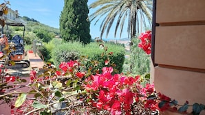 Un jardin avec des fleurs rouges, un palmier et un engin de chantier.