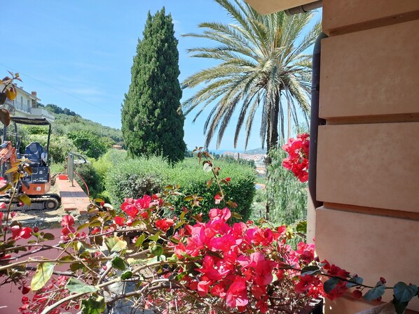 Un jardín con flores rojas, una palmera y un vehículo de construcción.