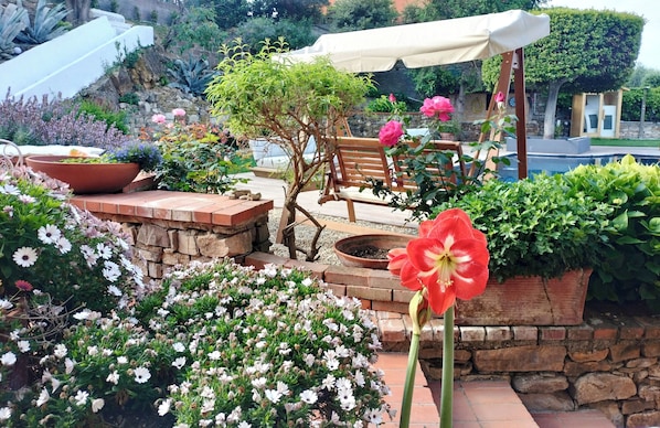 Un patio jardín con un banco de madera, una marquesina blanca y diversas macetas con plantas y flores.