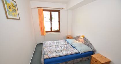 Apartment in Jachymov Near Ski Lift
