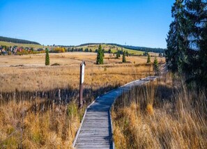 Căn hộ phong cách cổ điển, 1 phòng ngủ | Quang cảnh nhìn từ nơi lưu trú