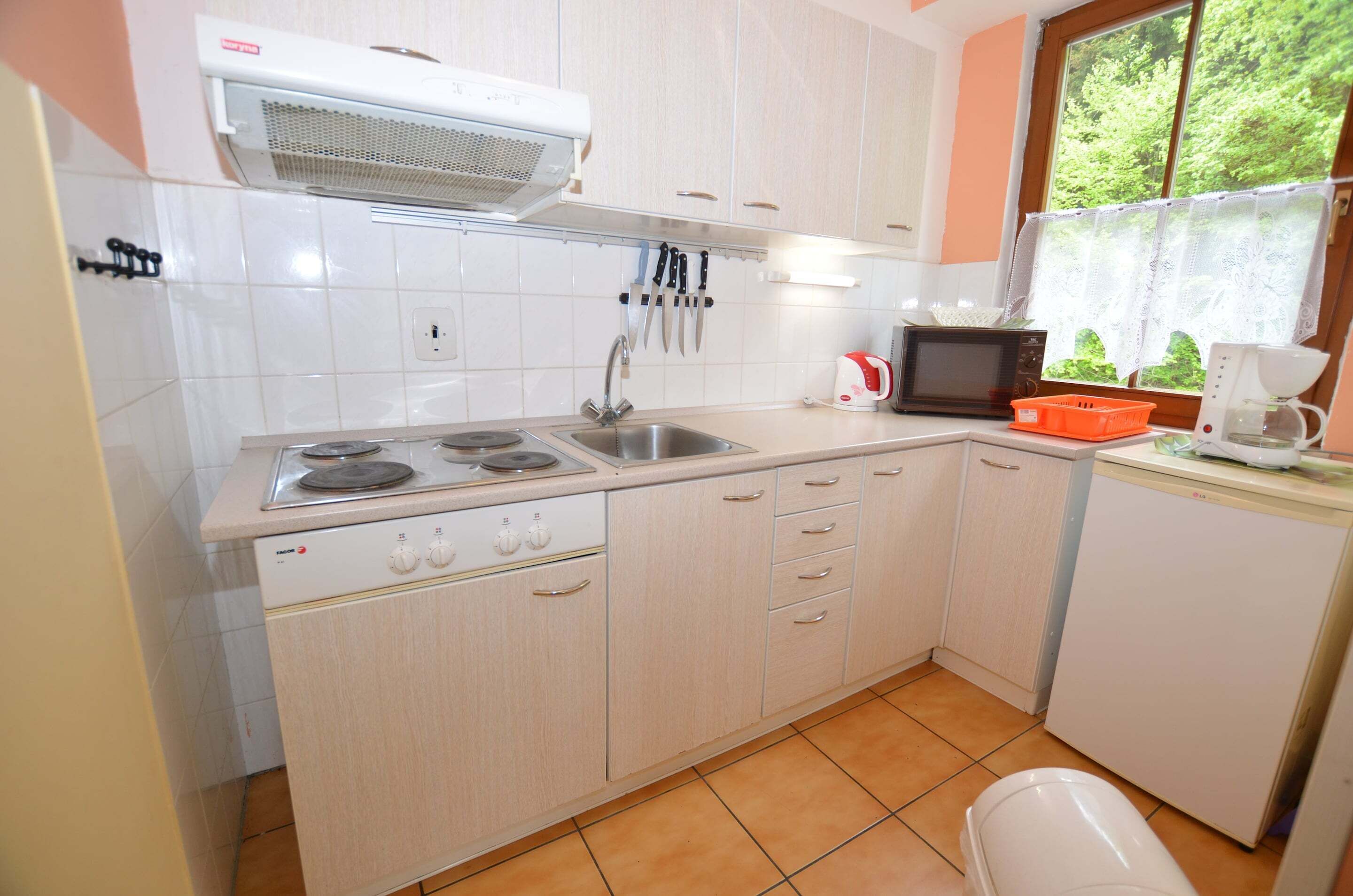 Classic Apartment, 1 Bedroom | Private kitchen | Fridge, microwave, coffee/tea maker, electric kettle