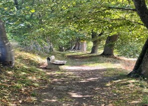 Vue depuis l’hébergement