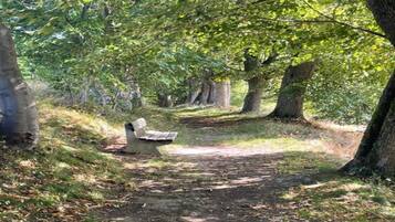 Classic Apartment, 1 Bedroom | View from property