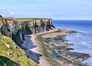 Comfort House, 4 Bedrooms | Pemandangan dari hartanah