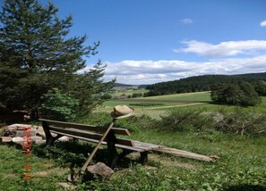 Classic Apartment, 1 Bedroom | View from property - Nature Escape in Meisdorf (Falkenstein)