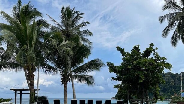 Una piscina con sillas de descanso, palmeras y vista al océano.