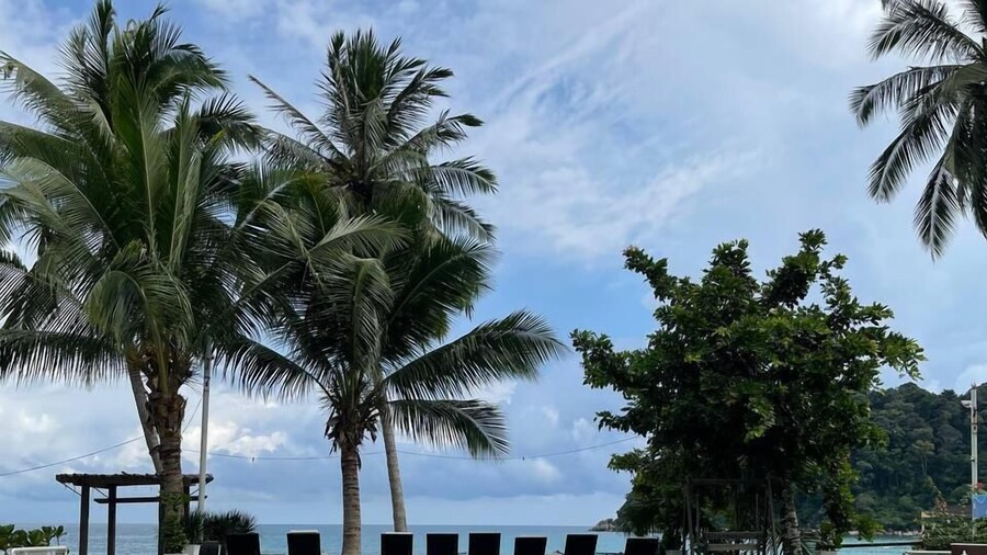 Beach CorallView - Teluk Pauh