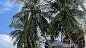 Un hotel frente a la playa con varios pisos, palmeras y sillas de descanso.
