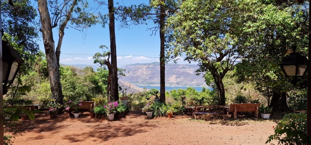 A garden with potted plants, a wooden bench, and a view of a canyon.