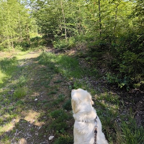 Boendeområde