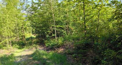 House Sonneneck 1 in the vacation property Sonneneck by the forest and water. Dogs welcome.