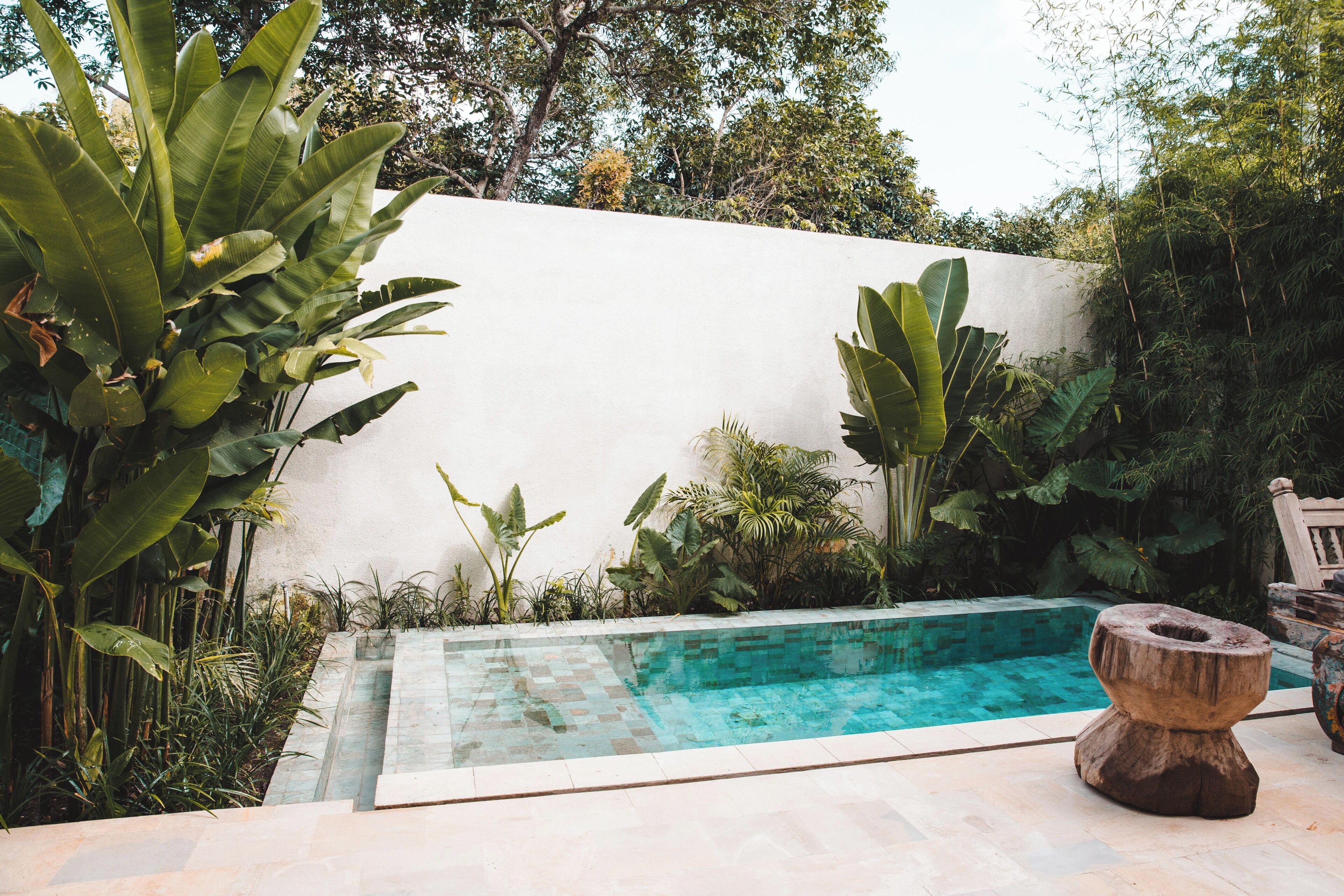 A swimming pool with a white wall and lush greenery.