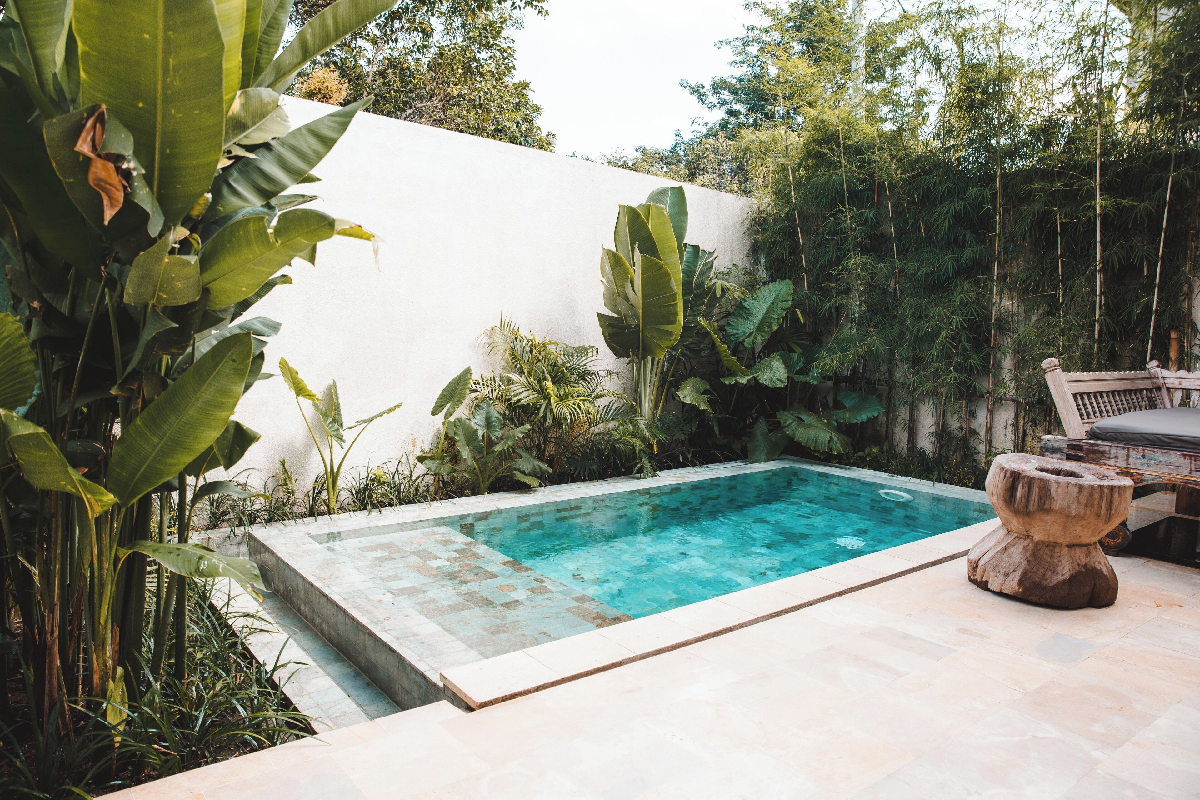 A rectangular pool with clear blue water, surrounded by lush greenery and a white wall.