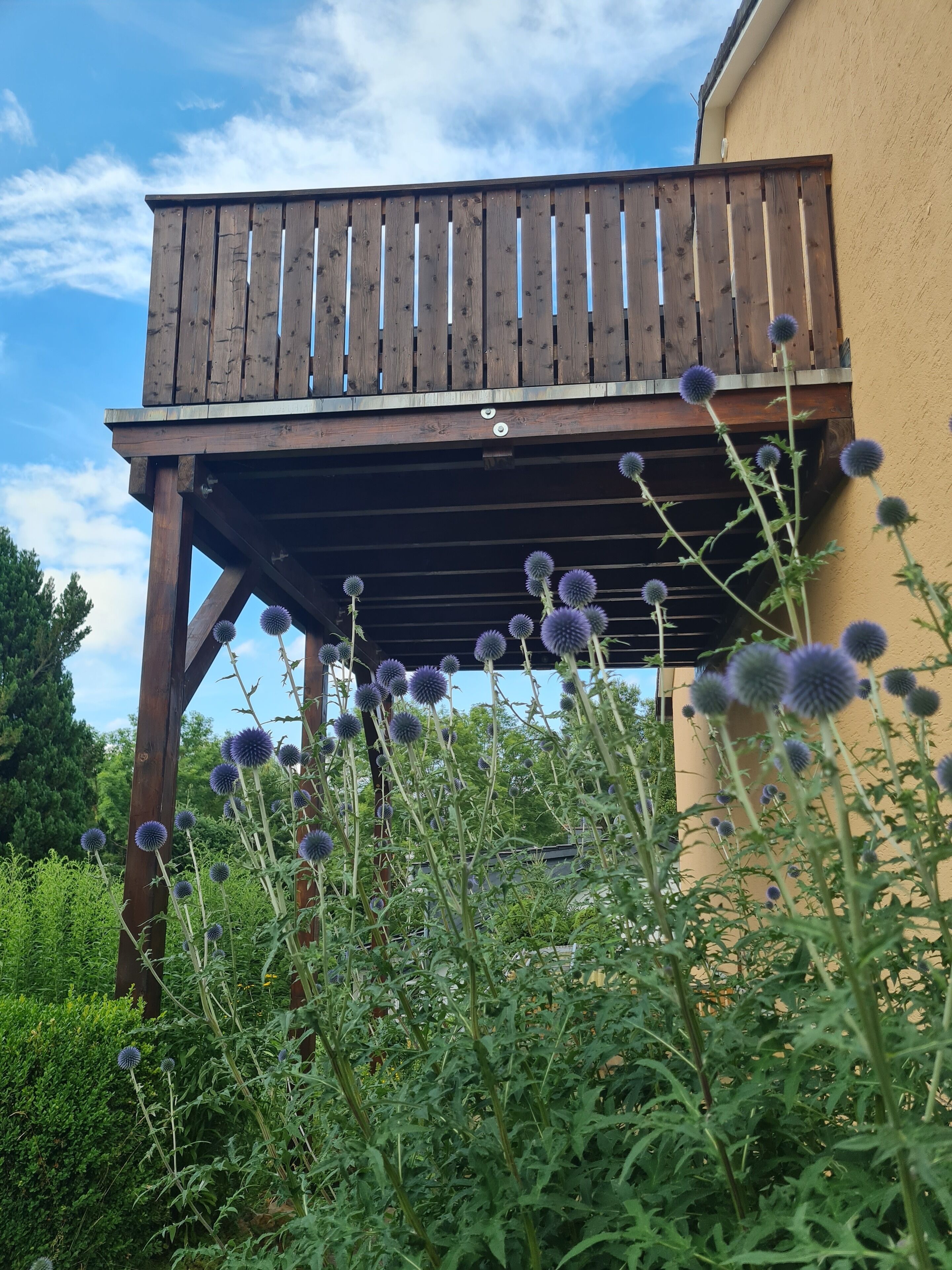 Jardines del alojamiento