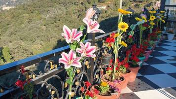 1Bhk Villa | Rooftop terrace