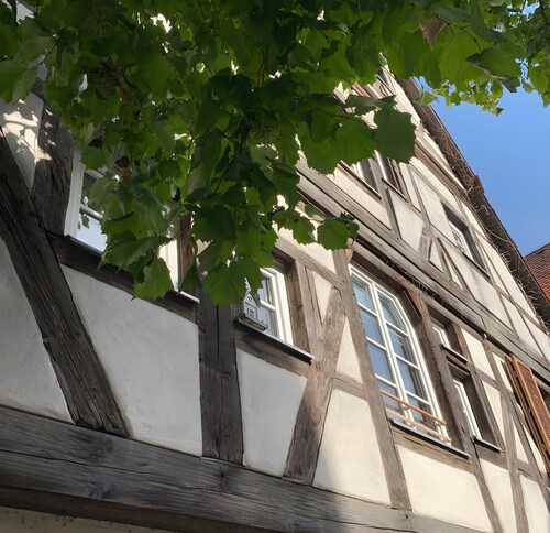 Apartment 'Jakobsgasse' mit WLAN