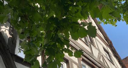 Apartment 'Jakobsgasse' mit WLAN