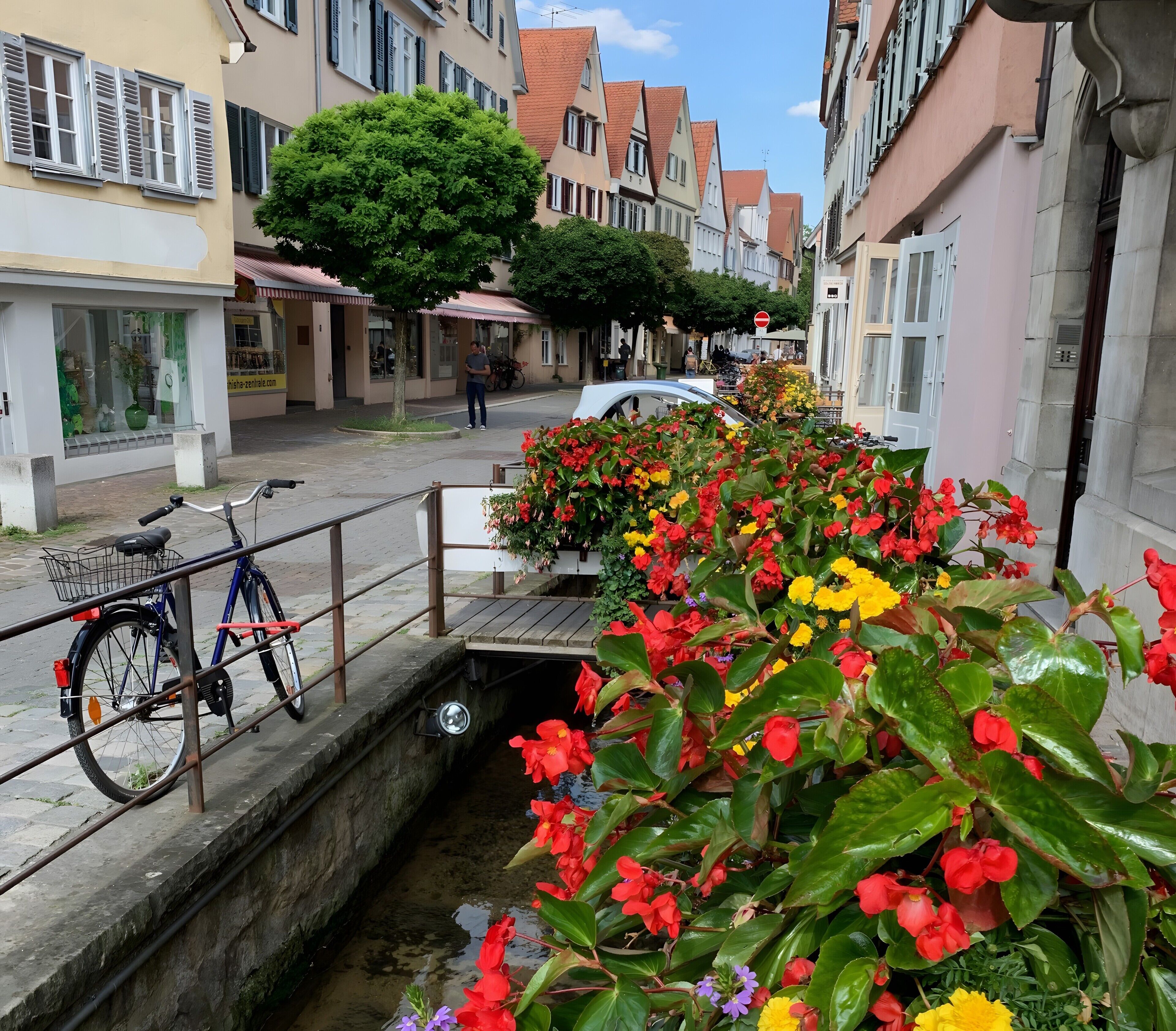 A narrow canal with a bicycle and flowers.