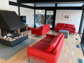 Televisión, chimenea y estéreo