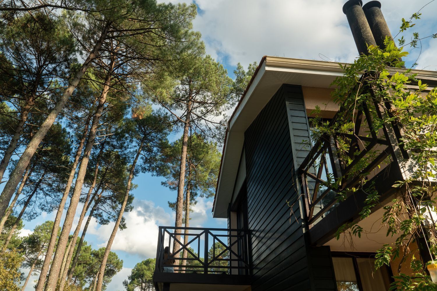 Biệt thự Premium, quang cảnh vườn | Nội thất