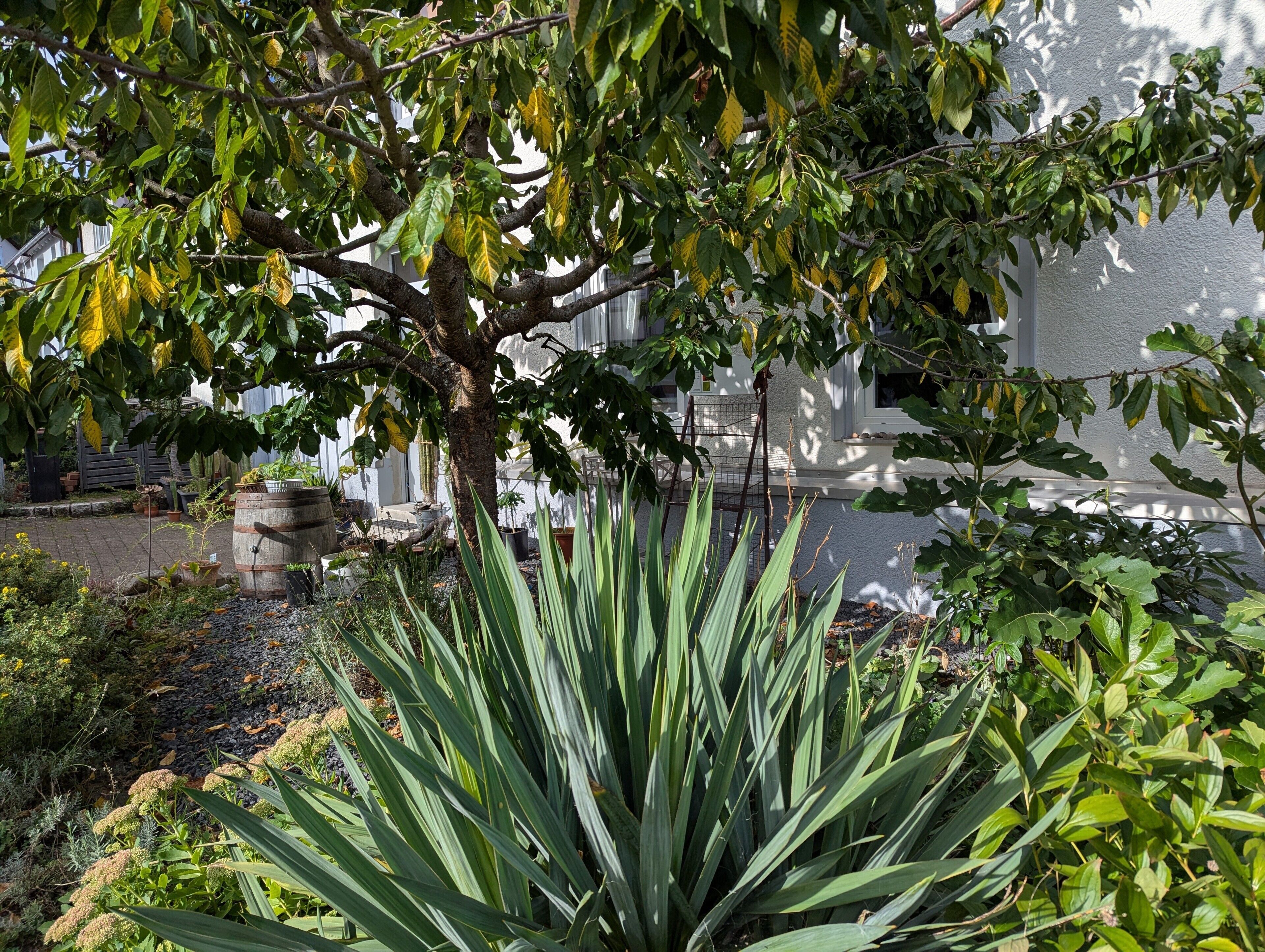 Áreas de la propiedad