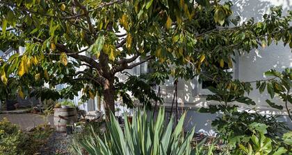 Appartement 'Ferienwohnung Lichtenstein' avec vue sur la montagne, terrasse privée et Wi-Fi