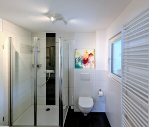 Shower, hair dryer, towels - Apartment 'Ferienwohnung Lichtenstein' with Mountain View, Private Terrace and Wi-Fi (Lichtenstein)