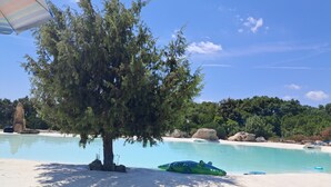 A tree by a clear blue pool with a sandy beach and rocks.