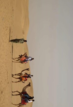 Exterior - The Captain Desert Camp (Jaisalmer)