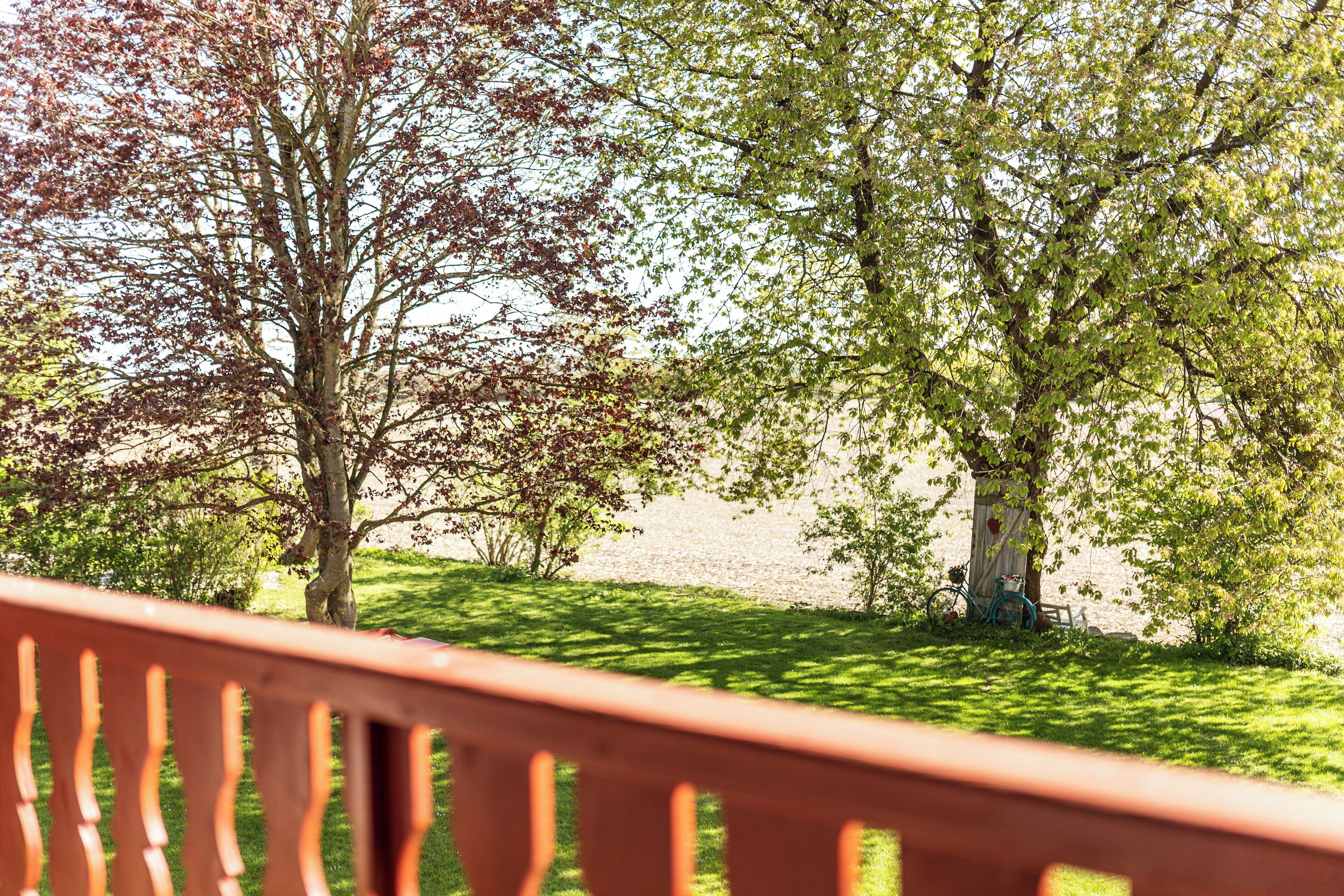 A park with trees and a bench.