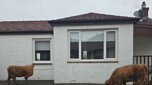 Une maison à l’extérieur blanc et au toit marron. On peut voir deux animaux marron devant la maison.