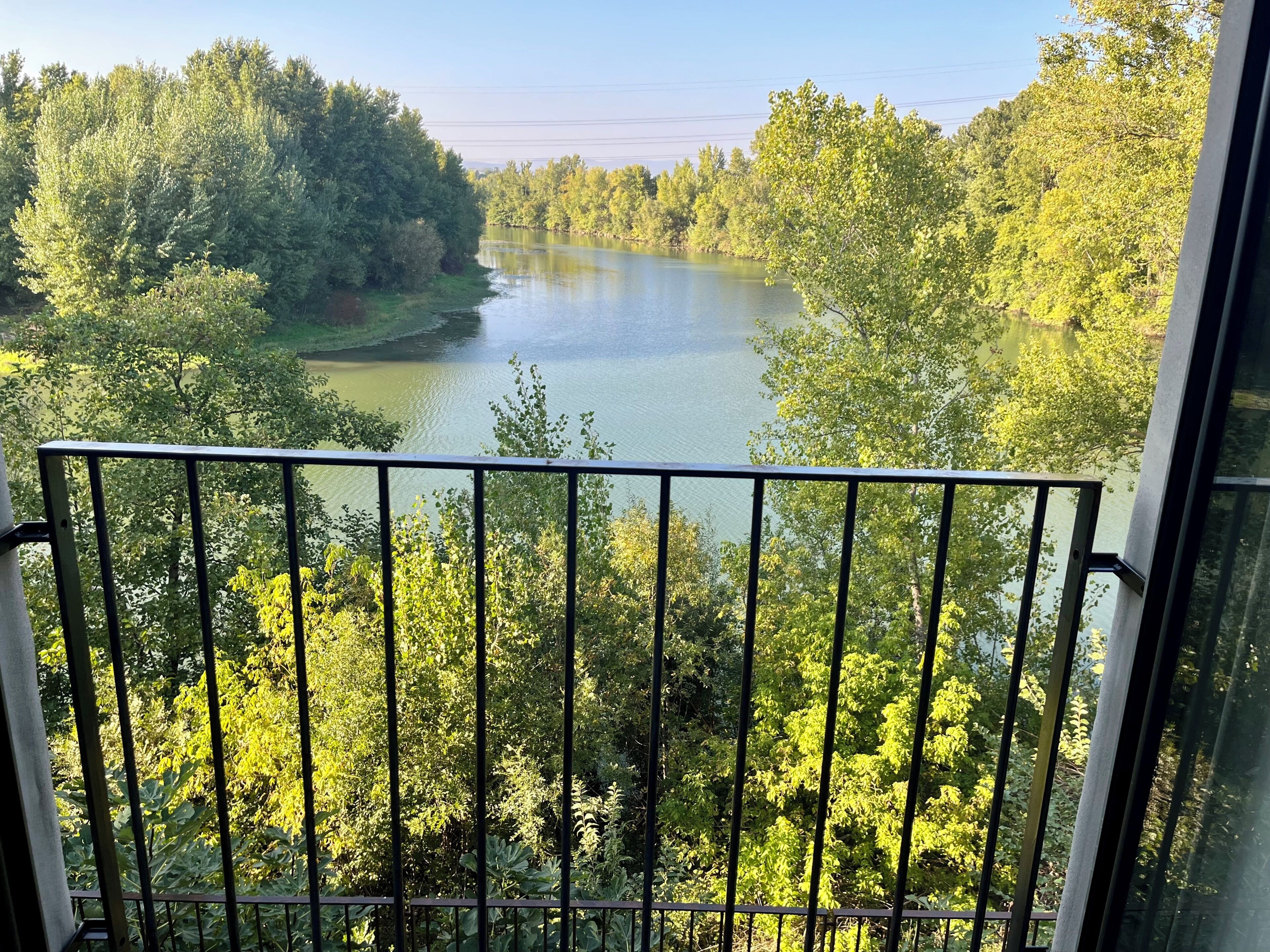 A balcony with a view of a lake surrounded by dense greenery.