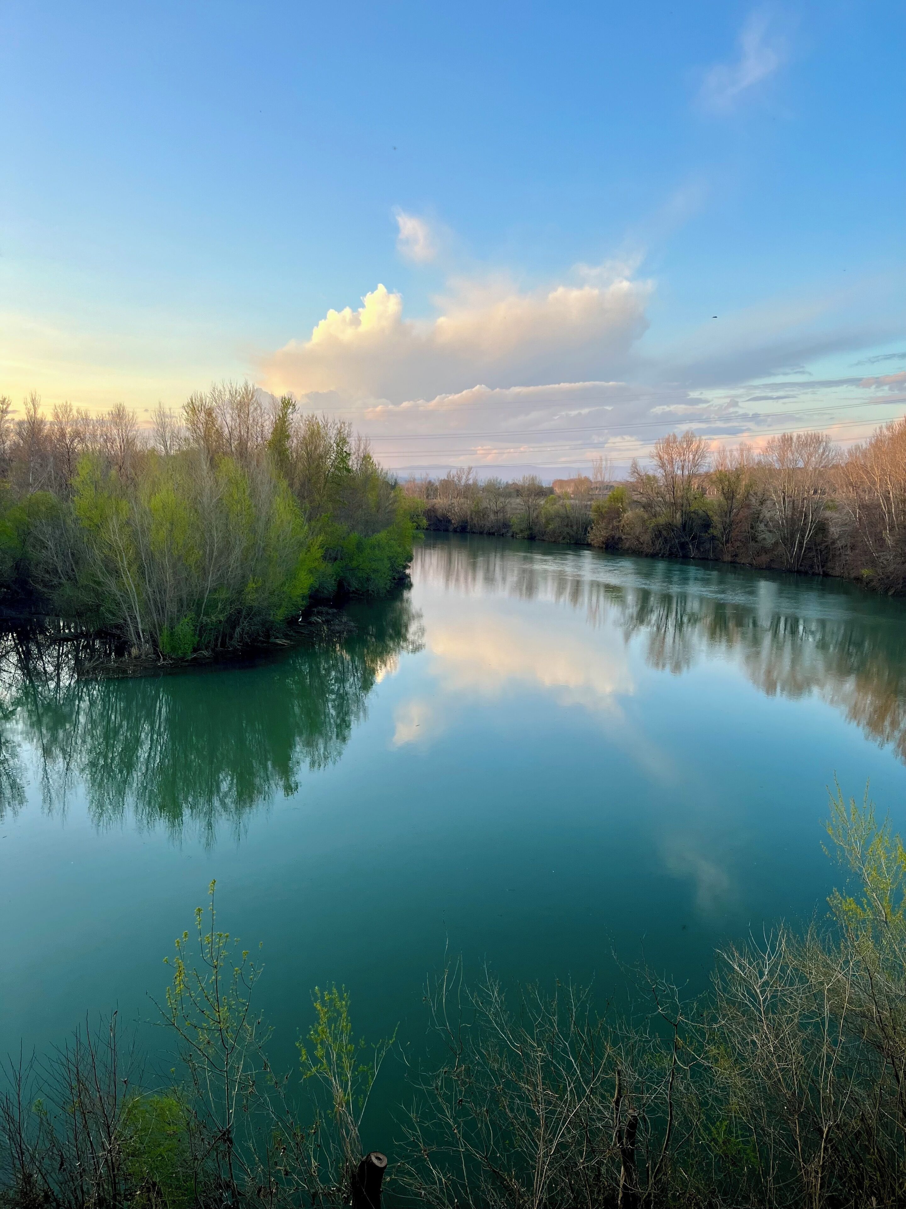Une rivière paisible, bordée de chaque côté d’une végétation luxuriante.