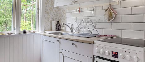 Fridge, stovetop, coffee/tea maker