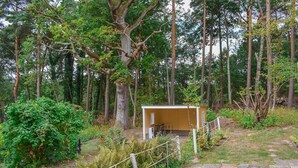 A small, single-story building with a door and window, surrounded by dense forest. - 1 bedroom cozy home in Blentarp (Blentarp)