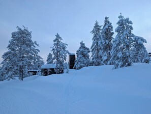 Ulkoalueet