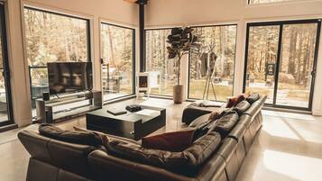 TV, fireplace, video games, books
