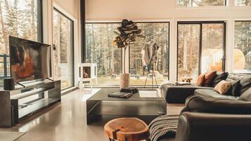 Télévision, cheminée, jeux vidéo, livres