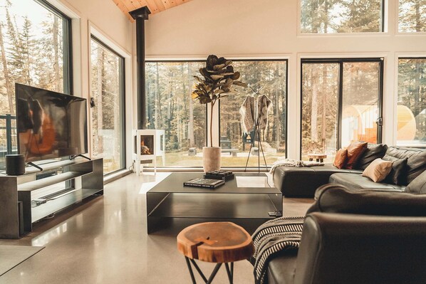 TV, fireplace, video games, offices