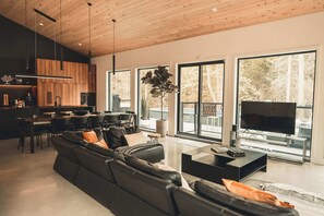 TV, fireplace, video games, offices