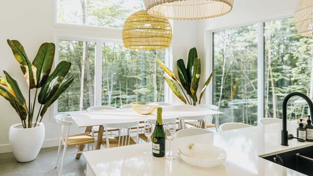 Une cuisine moderne avec des meubles blancs, de grandes fenêtres et des plantes en pot.