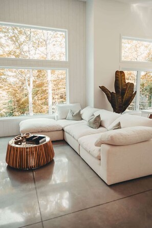 Télévision, cheminée, espaces bureaux