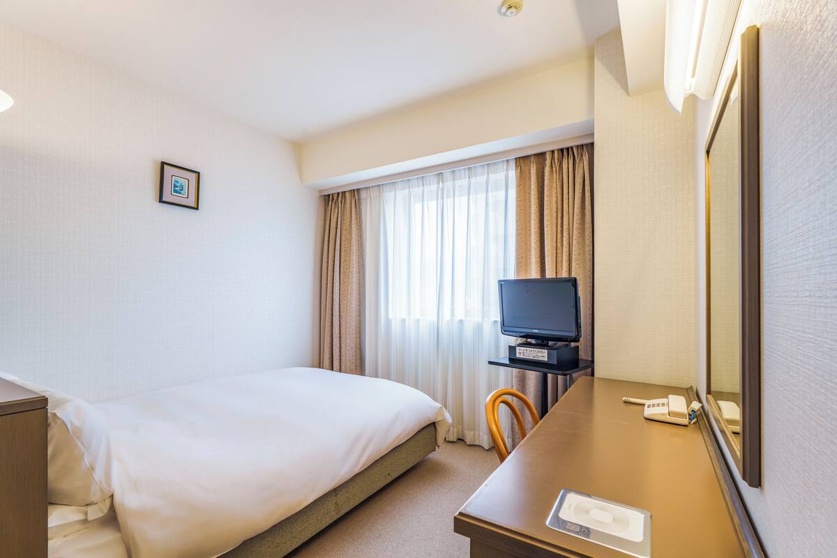 A hotel room with a bed, a desk with a television, a chair, and a mirror.