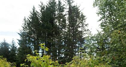 Driftwood Dreams- 3 BR in the heart of Homer