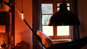 A hammock in a room with a window, a lamp, and a potted plant. - Peaceful Alpine Hideaway | Between Mountains & Streams (Bad Gastein)