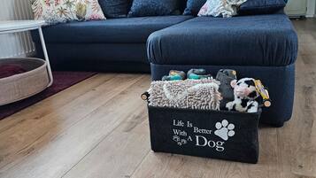 Fernseher, Stereoanlage